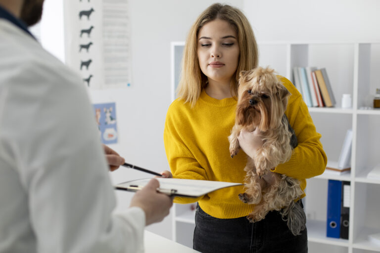 From ‘Gracias’ to ‘Thanks’: Navigating Local Lingo in Your U.S. Veterinary Clinic